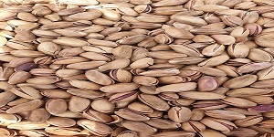 تصویر 1 از قیمت پسته تازه مشهد + خرید باور نکردنی