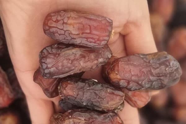 تصویر 5 از قیمت خرید خرما درجه یک پیارم اصل عمده به صرفه و ارزان