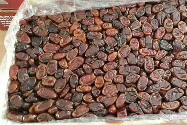 تصویر 2 از قیمت خرید خرمای رقم استعمران عمده به صرفه و ارزان