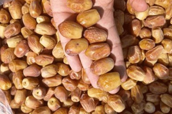تصویر 4 از قیمت خرید خرما زاهدی اهواز با فروش عمده