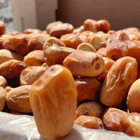 قیمت خرید خرما زاهدی اهواز با فروش عمده