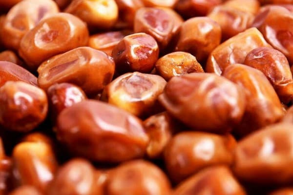 تصویر 5 از قیمت خرید خرما زاهدی اهواز با فروش عمده