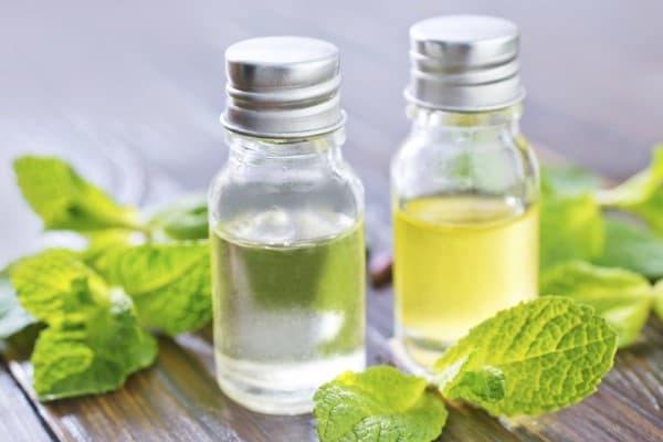 تصویر 5 از قیمت اسانس طبیعی نعنا + پخش تولیدی عمده کارخانه
