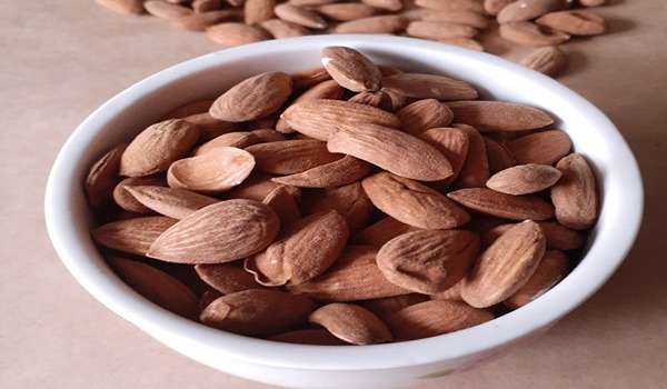 تصویر 5 از قیمت بادام مامایی خام + فروش ویژه