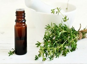 تصویر 1 از قیمت خرید اسانس آویشن شیرازی + فروش ویژه