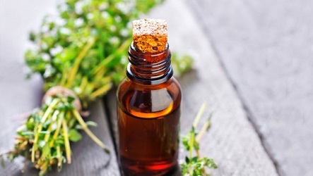 تصویر 2 از قیمت خرید اسانس آویشن شیرازی + فروش ویژه