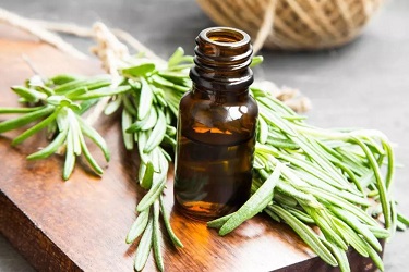 تصویر 3 از قیمت خرید اسانس آویشن شیرازی + فروش ویژه
