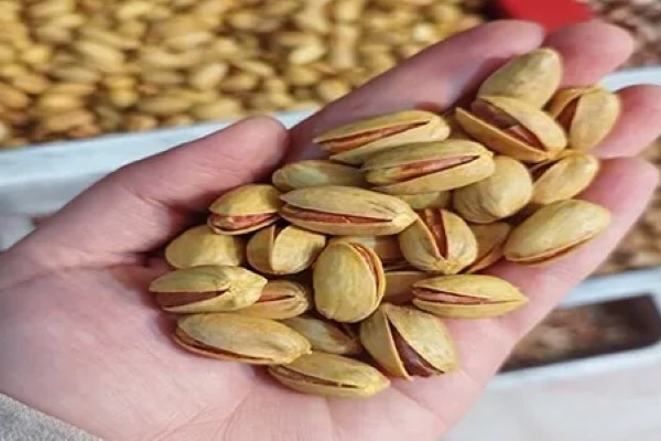 تصویر 3 از خرید پسته خندان کرمان + بهترین قیمت