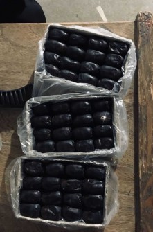 تصویر 5 از قیمت خرید خرما مضافتی صادراتی + فروش ویژه