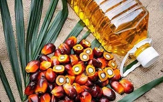 تصویر 2 از قیمت خرید روغن هسته خرما خوراکی + فروش ویژه