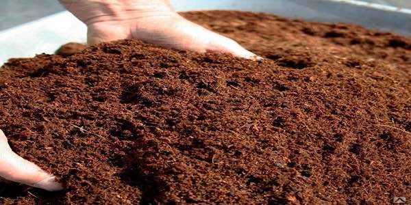 تصویر 1 از خرید و قیمت خاک پرومکس درجه یک + فروش عمده