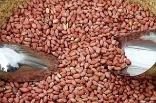 تصویر 1 از قیمت بادام زمینی آستانه + خرید باور نکردنی