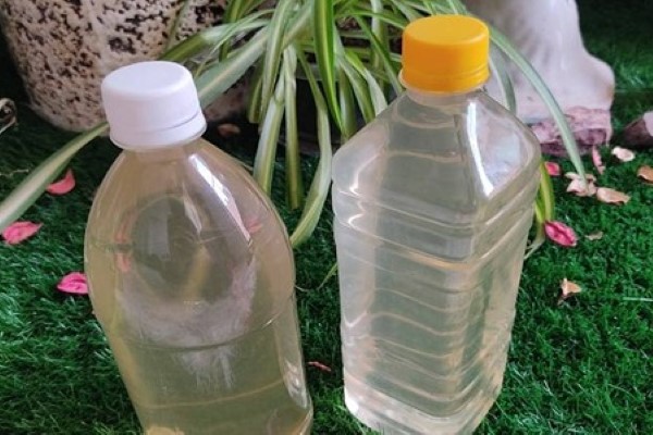 تصویر 5 از فروش عرق گیاهی بهار نارنج + قیمت خرید به صرفه