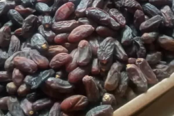 تصویر 3 از خرید خرما ربی سراوان + قیمت فروش استثنایی
