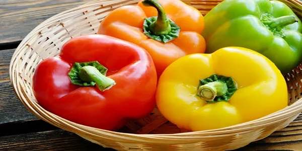 تصویر 3 از خرید و قیمت فلفل دلمه ای رنگی + فروش عمده