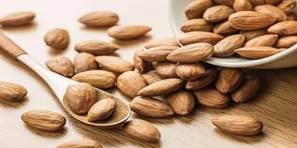 تصویر 2 از خرید بادام مامایی صادراتی + قیمت فروش استثنایی