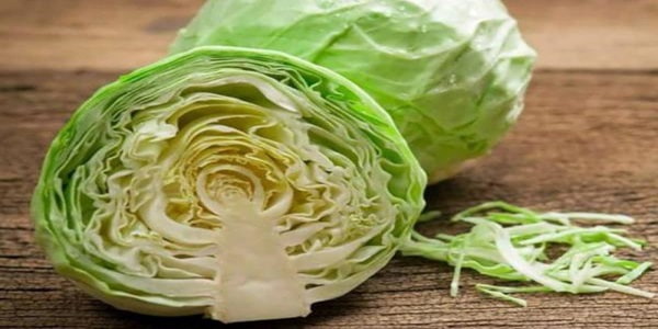 تصویر 3 از خرید و فروش کاهو چینی اصفهان با شرایط فوق العاده