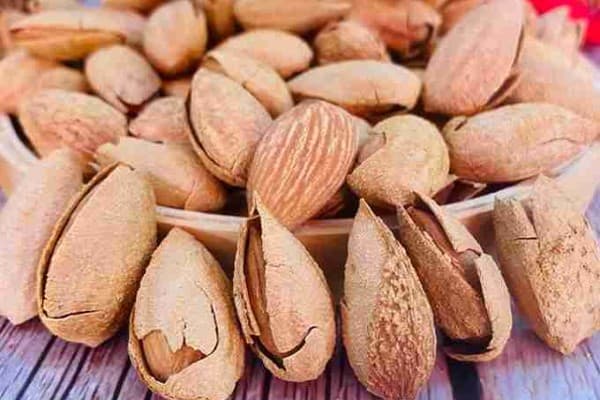 تصویر 3 از قیمت خرید بادام مامایی ایرانی + فروش ویژه
