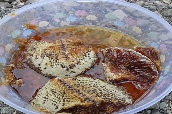 تصویر 4 از فروش عسل کوهی اصل + قیمت خرید به صرفه