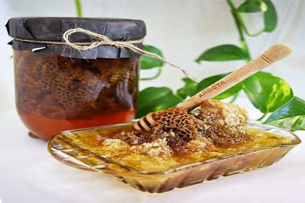 تصویر 2 از فروش عسل کوهی اصل + قیمت خرید به صرفه
