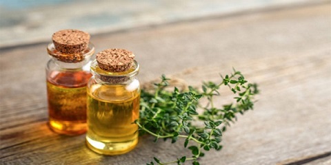 تصویر 1 از قیمت اسانس آویشن شیرازی با کیفیت ارزان + خرید عمده