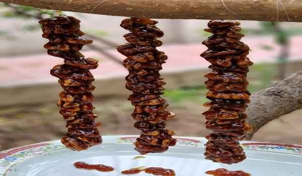 تصویر 2 از قیمت خرید سوجوق شیره انگور + فروش ویژه