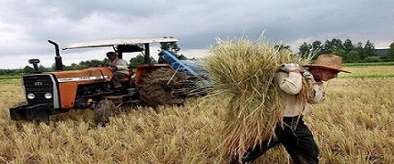 تصویر 4 از قیمت خرید فن شخم زمین کشاورزی  عمده به صرفه و ارزان