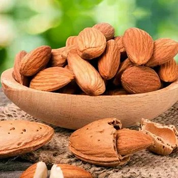 خرید بادام مامایی خام + قیمت فروش استثنایی