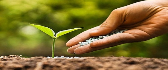 تصویر 3 از قیمت کود ارگانیک پاورفید  با کیفیت ارزان + خرید عمده