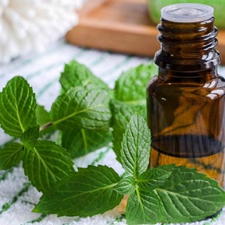 خرید اسانس گیاهی خوشبو + قیمت عالی باکیفیت