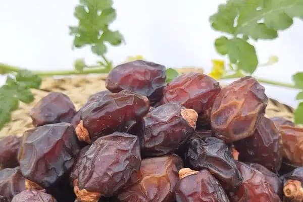 تصویر 2 از خرید و قیمت انواع خرمای خاصویی ریز
