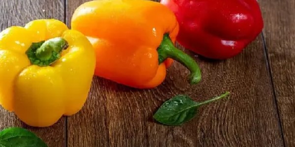 تصویر 3 از خرید فلفل دلمه ای نر و ماده + قیمت فروش استثنایی