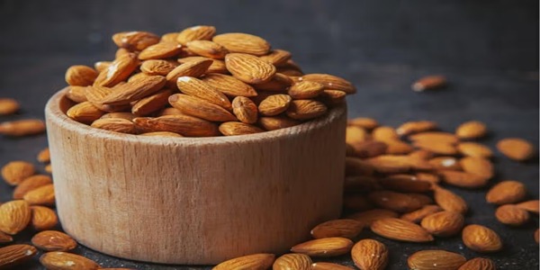 تصویر 5 از قیمت خرید بادام مامایی اصفهان با فروش عمده