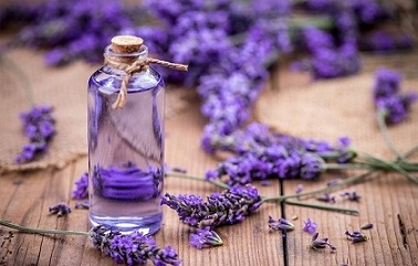 تصویر 3 از خرید و قیمت عرق اسطوخودوس