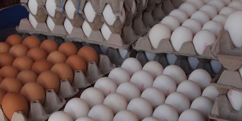 تصویر 1 از قیمت خرید تخم مرغ صادراتی قم + فروش ویژه