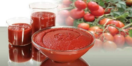تصویر 2 از قیمت روز رب گوجه فرنگی روژین