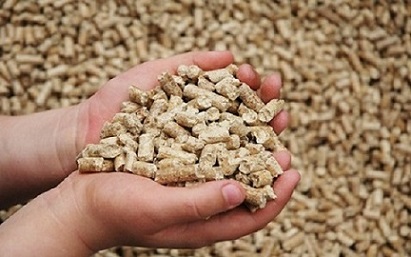 تصویر 5 از قیمت خرید مکمل دام مولتی مکس + فروش ویژه