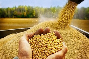 تصویر 3 از قیمت خرید مکمل دام مولتی مکس + فروش ویژه