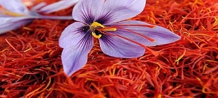 تصویر 5 از قیمت خرید زعفران قائنات مشهد + فروش ویژه