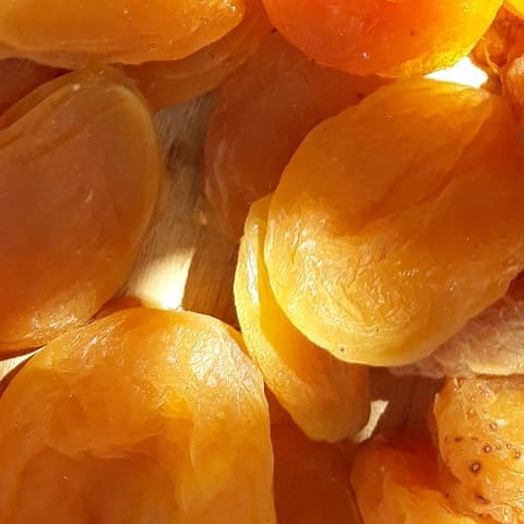 قیمت خرید قیسی درجه یک + فروش ویژه