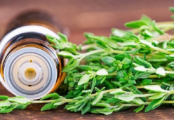 تصویر 5 از خرید اسانس گیاهی آویشن + بهترین قیمت