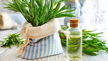 تصویر 1 از قیمت اسانس گیاهی رزماری + خرید باور نکردنی