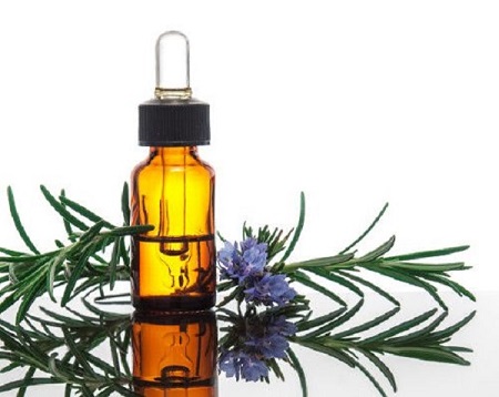 تصویر 4 از قیمت اسانس گیاهی رزماری + خرید باور نکردنی