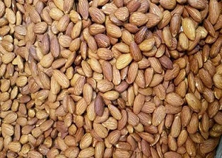 تصویر 2 از خرید و قیمت بادام مامایی اصفهان + فروش عمده