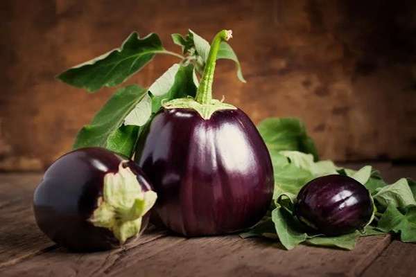 تصویر 2 از قیمت بادمجان دلمه ای شیرین + خرید باور نکردنی