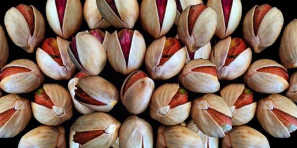 تصویر 5 از خرید پسته کله قوچی درشت + قیمت فروش استثنایی
