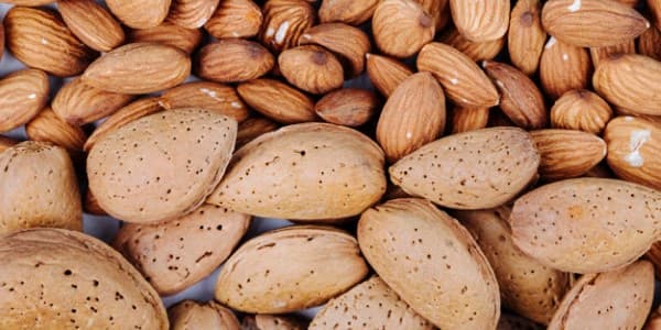 تصویر 5 از معرفی بادام مامایی صادراتی + بهترین قیمت خرید