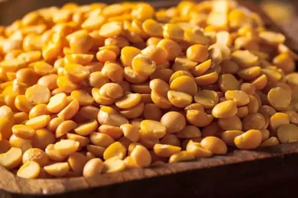 تصویر 1 از قیمت خرید لپه درجه یک آذرشهر با فروش عمده