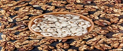 تصویر 5 از قیمت نقل بیدمشک قاسمی + خرید باور نکردنی