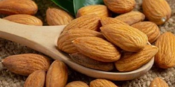 تصویر 2 از قیمت و خرید بادام مامایی درجه یک + فروش ارزان